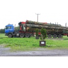 Timber Delivery!