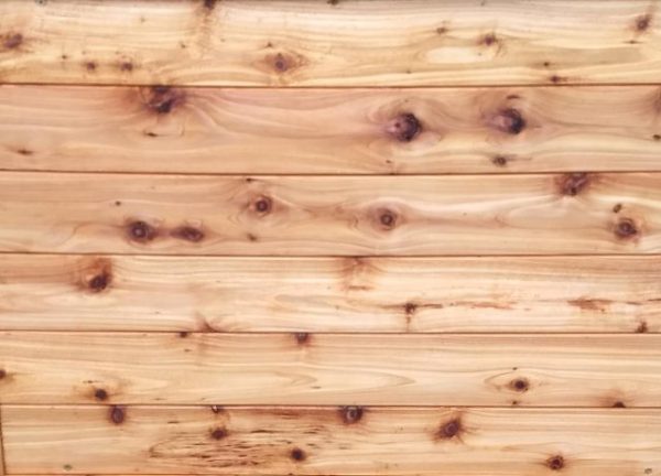 Western red cedar tgv close up