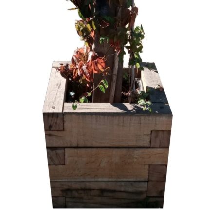 Oak Planter Kit