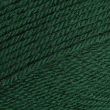 Stylecraft Special DK - Bottle Green (1009)