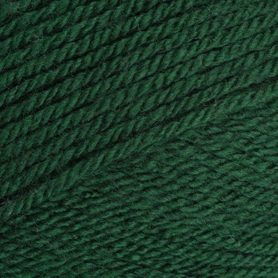 Stylecraft Special DK - Bottle Green (1009)