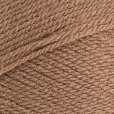 Stylecraft Special DK - Mocha (1064)