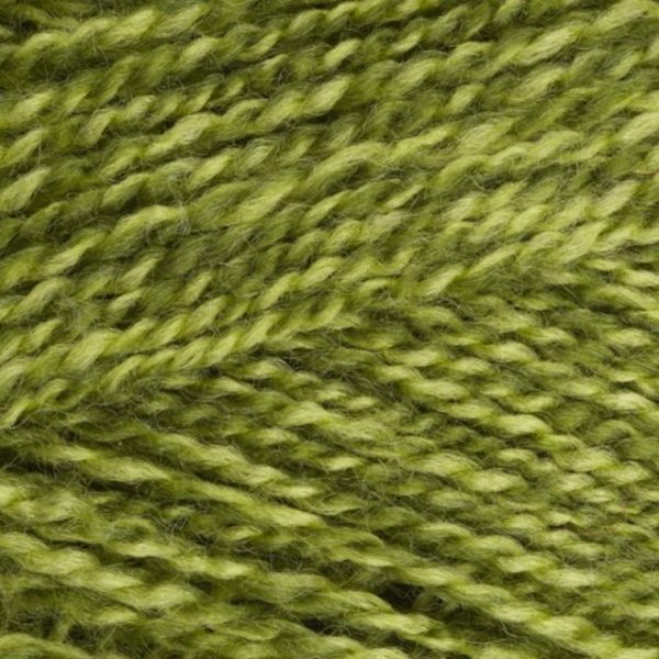 Stylecraft Special DK - Greengage (1124)