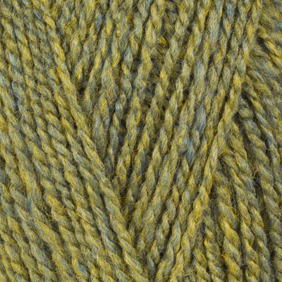 Stylecraft Highland Heathers DK - Lichen (7228)