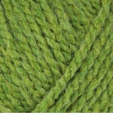 Stylecraft Softie Chunky - Fern (2418)