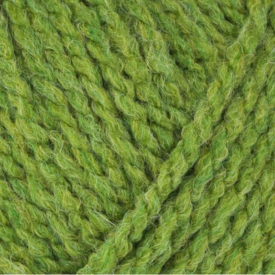 Stylecraft Softie Chunky - Fern (2418)