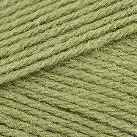 Stylecraft Special Aran - Meadow (1065)