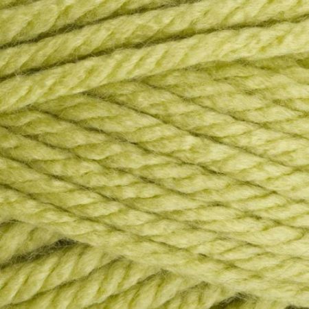 Stylecraft Special XL Super Chunky - Pistachio (1822)