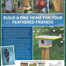 Birdhouses You Can Build in a Day