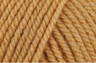 Stylecraft Special Aran - Camel (1420)